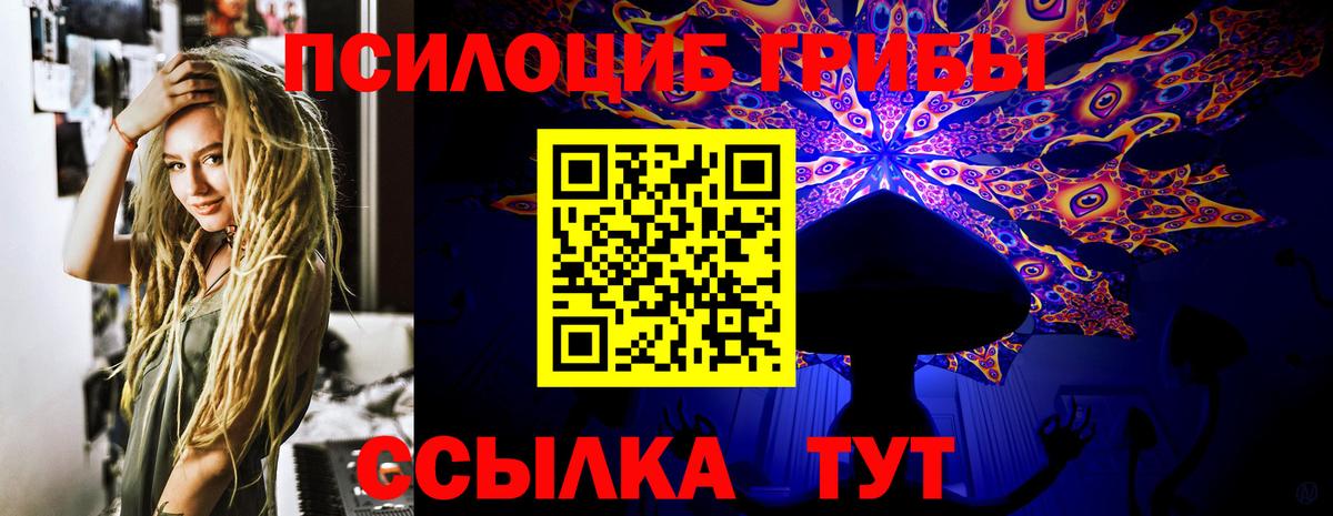 Псилоцибиновые грибы Cubensis Сокол