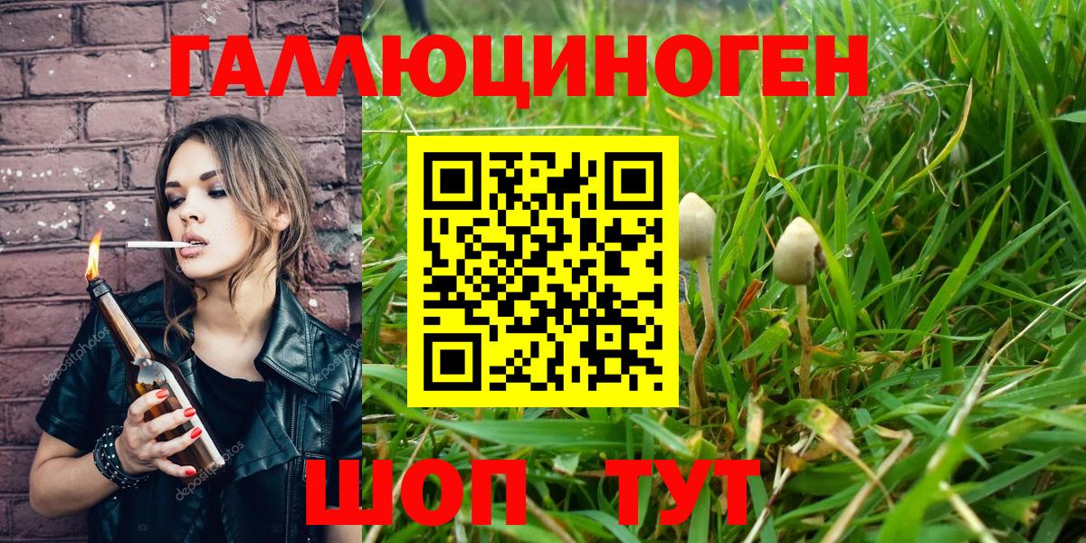 Псилоцибиновые грибы Psilocybine cubensis  Вход с VPN  Сокол 